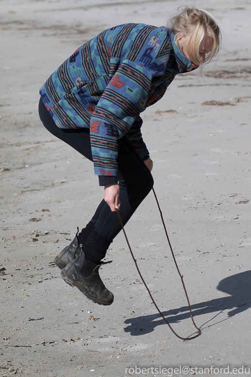 Brittany jumping kelp